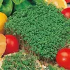 Kresse Ganzjahres-Gemüse-Sprossensamen 10G Produktbild-Vorschau 18
