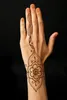 4x Golecha 100% Natural Henna Paste Cones Kegel (Rot-Braun) Produktbild-Vorschau 5