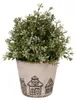 Clayre & Eef Blumentopf Ø 12x11 cm Beige Keramik Produktbild-Vorschau 2