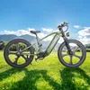 26 Zoll Fat-E-Bike PE900 mit 250W Motor, 52V20Ah Akku, hohe Produktbild-Vorschau 9