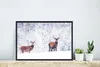 MuchoWow® MuchoWow® Gerahmtes Poster Hirsche - Tiere - Produktbild-Vorschau 5