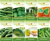 Gurkensamen Set - 8 Sorten Samen - Saatgut Sortiment - Produktbild-Vorschau 2