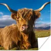 MuchoWow® Poster Schottische Highlander - Tiere - Gras Produktbild-Vorschau 1