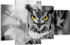 Bild auf Leinwand - Leinwandbild - Eule Vogel Natur - Produktbild-Vorschau 1