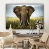 MuchoWow® - Leinwandbilder - Elefant - Natur - Gras - Tiere Produktbild-Vorschau 7