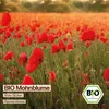 Samenliebe  Mohnblume Samen | Klatschmohn - rot - Produktbild-Vorschau 4