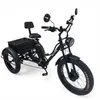 E Bike Dreirad Fat E-Bike Lastenfahrrad elektrische dreirad Produktbild-Vorschau 6