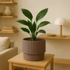 Prosperplast s.r.o. Květináč MILLY marsala 29,8 cm Náhled obrázku produktu 4