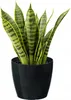 Lamela Blumentopf | Magnolia | Glanz | Schwarz | 25 cm Produktbild-Vorschau 7