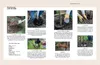 Kleine Bäume für den Garten Produktbild-Vorschau 14