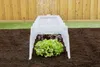 A clear plastic plant tunnel is placed over a head of lettuce and some red lettuce in dark soil, with a wooden fence and green turf in the background. Water is being sprayed from above. Produktbild-Vorschau