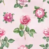 Coloray Fototapete 152x104 cm Vlies-Fototapete - Produktbild-Vorschau 2