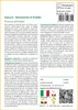 SAFLAX  - Sakura - 30 semi - Con substrato - Prunus Anteprima dell’immagine prodotto 3