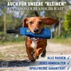 GIZZY® Futterdummy für Hunde blau – Robuster Produktbild-Vorschau 4