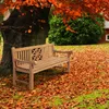Teakbank Florida 200 cm teak Produktbild-Vorschau 2