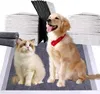 Tapis d'entraînement Nanipets® pour chiens, tapis pour Voir les images du produit 1