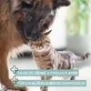 REAVET Denta Vital - Zahnpflege Finger-Pads für Hunde & Produktbild-Vorschau 6