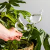 Sfere di vetro per annaffiare le piante in vaso - A forma Anteprima dell’immagine prodotto 34