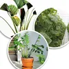 com-four® 200x Pflanzbinder - Pflanzenbinder grün - Produktbild-Vorschau 3