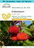 SAFLAX Geschenk Set - Erdbeerbaum - Arbutus unedo - 50 Produktbild-Vorschau 1