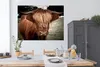 MuchoWow® Poster Schottischer Highlander - Baum - Gras Produktbild-Vorschau 3