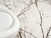 Teppich Kurzflor Äste Modern Wohnzimmer Beige Grau Creme Produktbild-Vorschau 4
