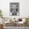 Gerahmtes Poster - Schwarzer Rahmen - Elefant Afrika Tier - Produktbild-Vorschau 6