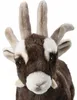 Carl Dick koza, koza czteroroga, ok. 30 cm długości, 30 cm Podgląd zdjęcia produktu 11