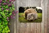 MuchoWow® Produktbild-Vorschau 5
