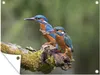 MuchoWow® Produktbild-Vorschau 1