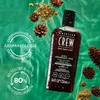 American Crew 3-in-1 Chamolie + Pine Shampoo, Conditioner Produktbild-Vorschau 6