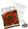 Farbenfrohe Sonnenblumen Samen mit hoher Keimrate - Produktbild-Vorschau 1