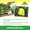 Neudorff KirschmadenFalle - 7 insektizidfreie Leimfallen - Produktbild-Vorschau 4