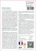SAFLAX  - Brède mafane - 500 graines - Acmella Voir les images du produit 3