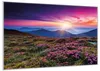 Wallario Wandbild Blumenbedeckte Wiese bei Sonnenuntergang, Produktbild-Vorschau 2