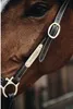 Kentucky Horsewear Licol d'écurie cuir marron complet Voir les images du produit 8