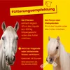Scheidler horse-direkt Magnesium Liquid 2,5L Kanister für Produktbild-Vorschau 3