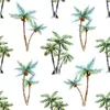 Coloray Fototapete 290x290 cm Vlies-Fototapete - Palme Produktbild-Vorschau 2