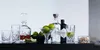 Nachtmann Longdrink  617/91 Noblesse  89208 Náhled obrázku produktu 20
