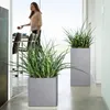 Lechuza Canto Stone plastový květináč 30x30x30 cm šedý Náhled obrázku produktu 21