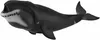 COLLECTA Baleine du Groenland Voir les images du produit 1