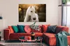 MuchoWow® Poster Pferd - Sonne - Herbst - Tiere - Natur Produktbild-Vorschau 2