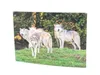 3 D Ansichtskarte Wölfe, Wolf  Postkarte Wackelkarte Produktbild-Vorschau 2
