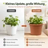 Pflanztopf Fiona Terrakotta Ø 15cm - Frostsicher & Produktbild-Vorschau 6