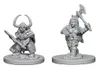 Dungeons and Dragons Nolzurovy úžasné miniatúry - Ženská Náhled obrázku produktu 1