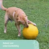 Kerbl Hund Beißring Gelb Kunststoff Tiere Produktbild-Vorschau 7