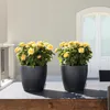 LECHUZA® Pots à plantes CLASSICO Color 21 gris ardoise Voir les images du produit 10