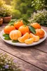 Winterharter Clementinenbaum Citrus × clementina 130–170 cm Produktbild-Vorschau 3