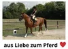Lammfell Sattelsitzbezug Sattelbezug, englisch  für 16-18 Produktbild-Vorschau 5