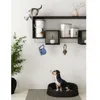 Curver Kontejner Na Krmivo 20 Kg 03906-L29-00 Náhled obrázku produktu 2